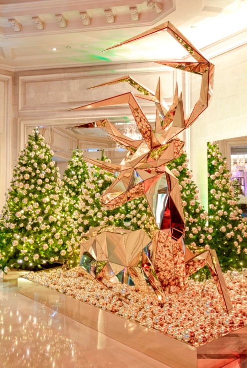 sx6b8119-20-21-bd-fsgv-decorations-noel-2016-bar-hotel-guillermo-aniel-quiroga