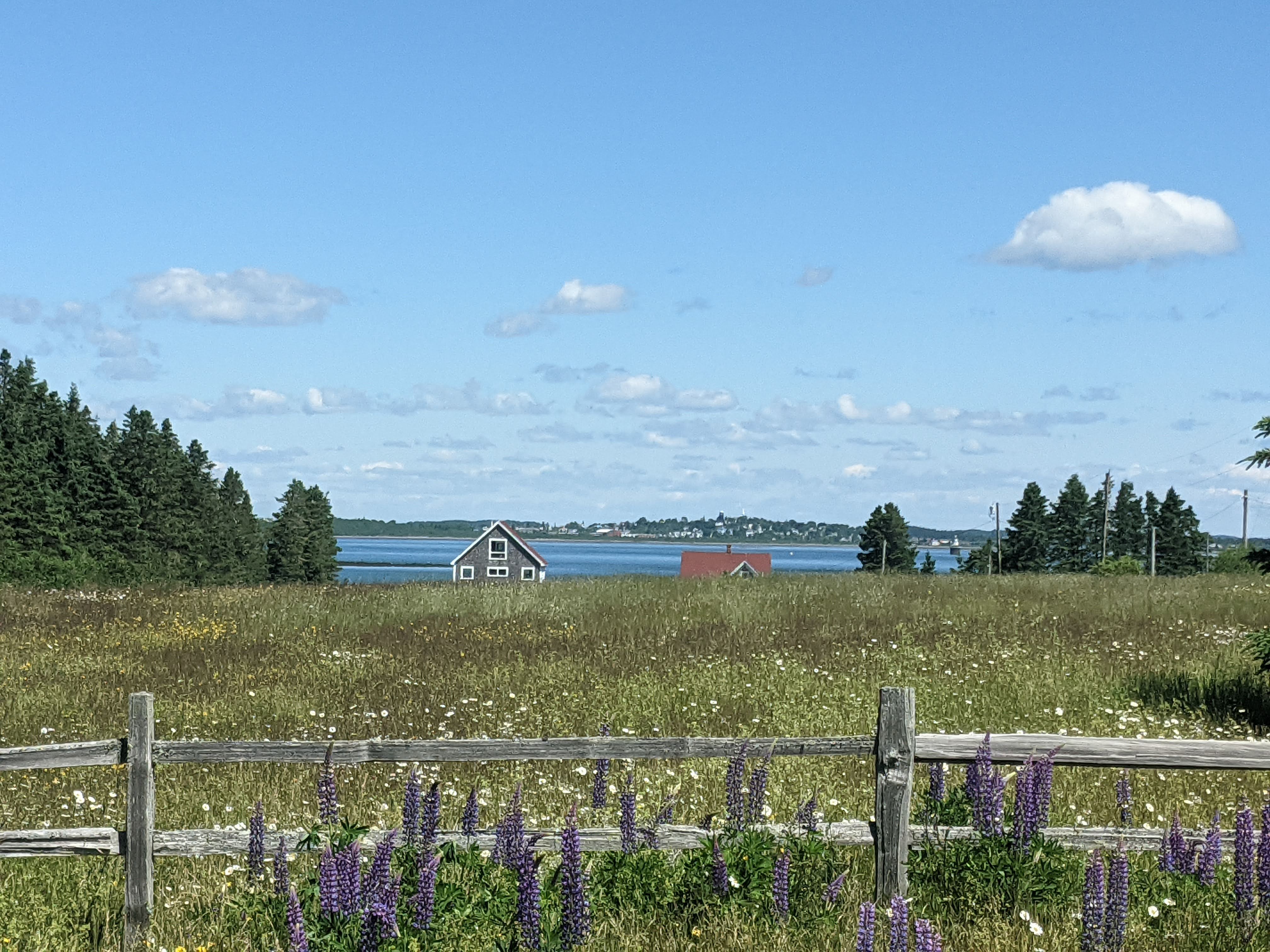 New England or European Countryside by the ocean