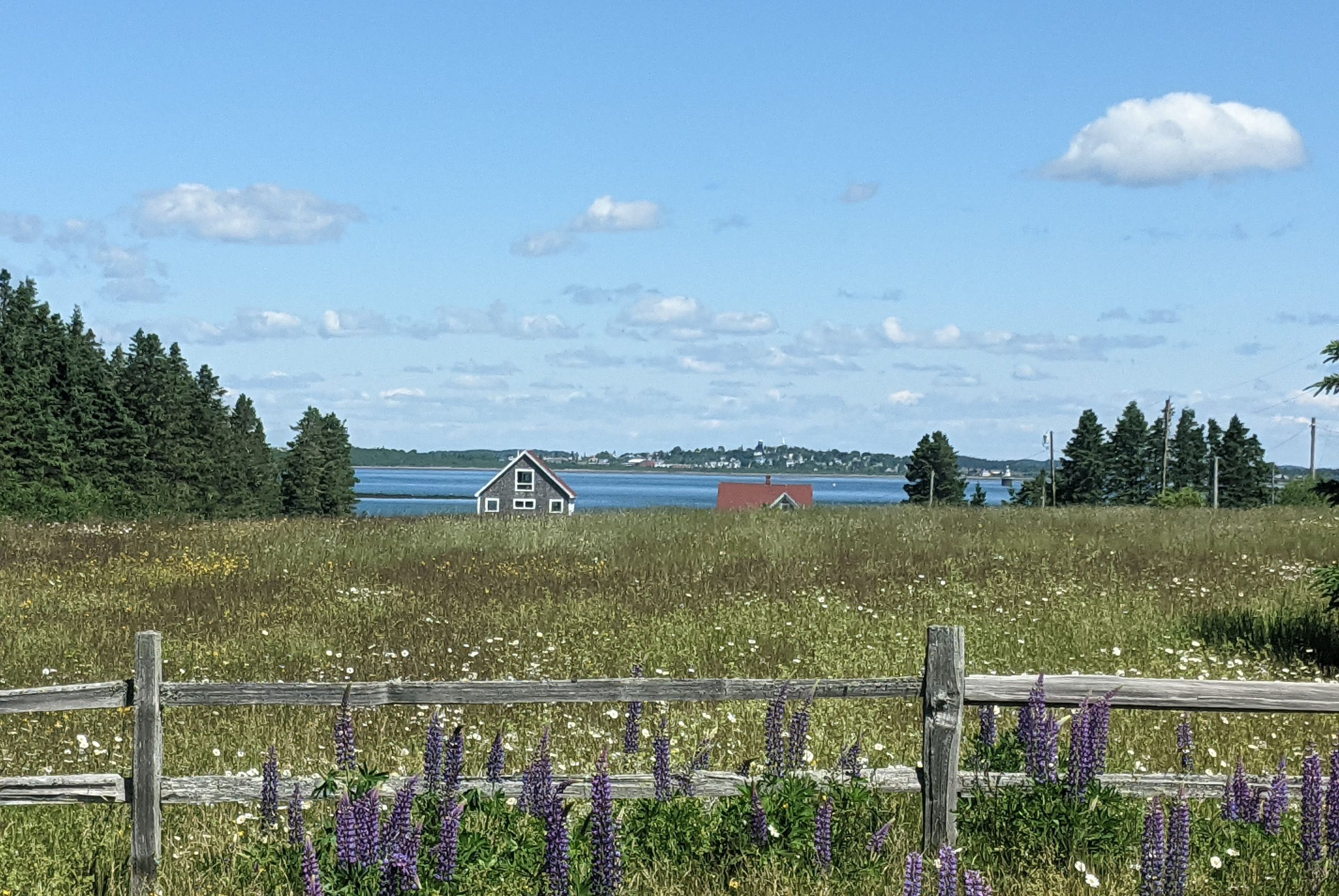 New England or European Countryside by the ocean